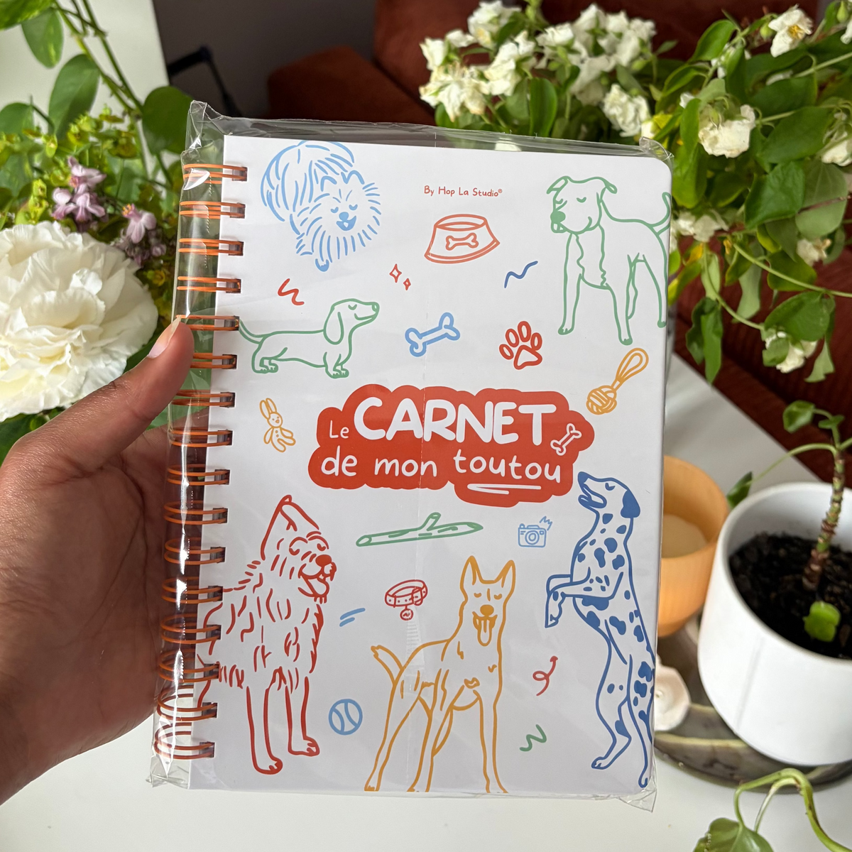 Un carnet de souvenirs pour chiens : 5 raisons de l'adopter
