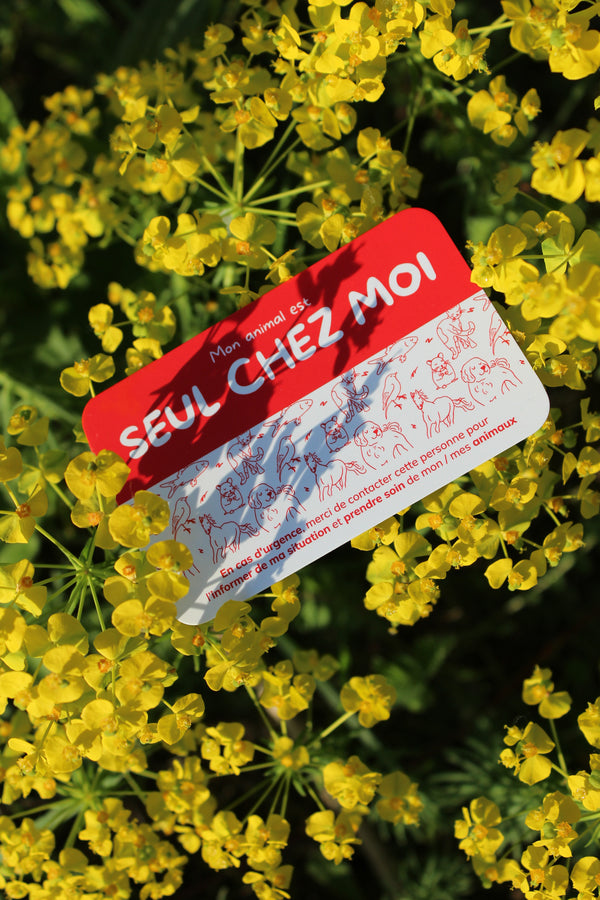 Carte d'urgence