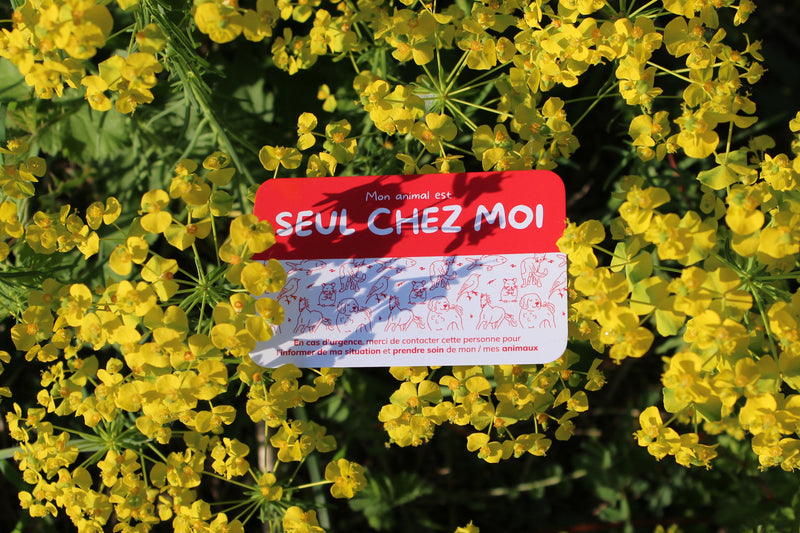 LA CARTE D'URGENCE