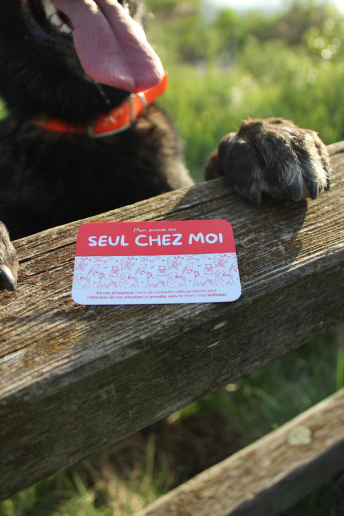 Carte d'urgence